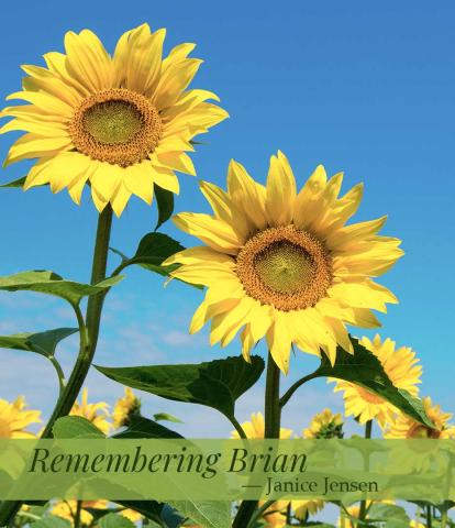 Sunflowers for remembering my son Brian, Janice Jensen