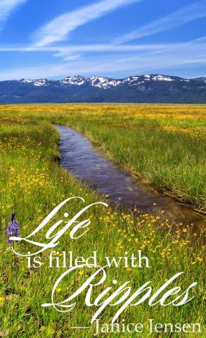 "Life is filled with ripples" — Janice Jensen; photo of stream in wildflower meadow