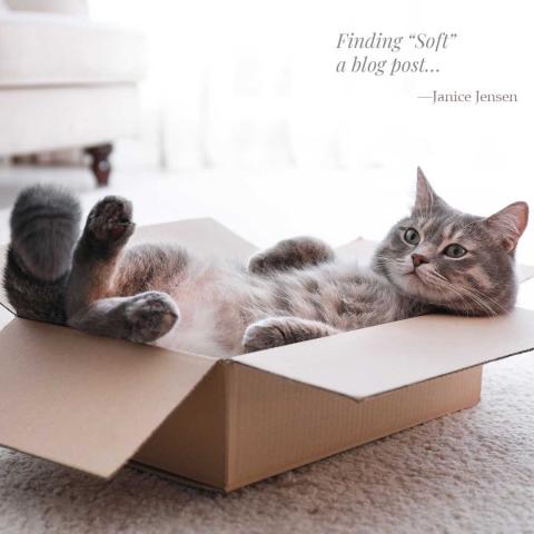 Finding "Soft" - a blog post by Janice Jensen Author